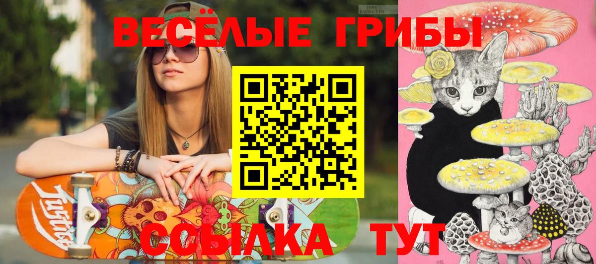 Псилоцибиновые грибы мухоморы Севастополь
