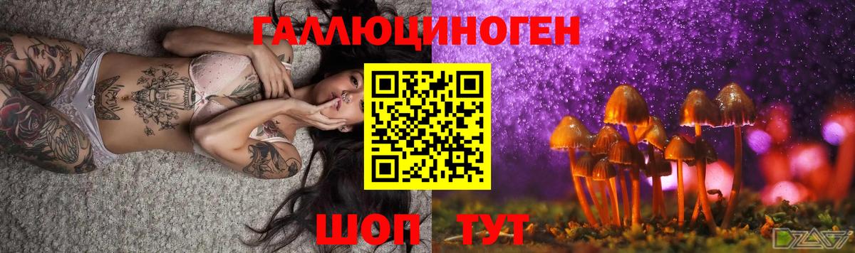 Севастополь  Галлюциногенные грибы мицелий  Псилоцибиновые грибы мухоморы  Вход с VPN 